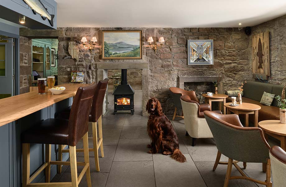 Dog Friendly Hotel Perthshire