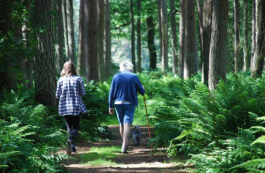 Holiday Cottage for two at Meikleour