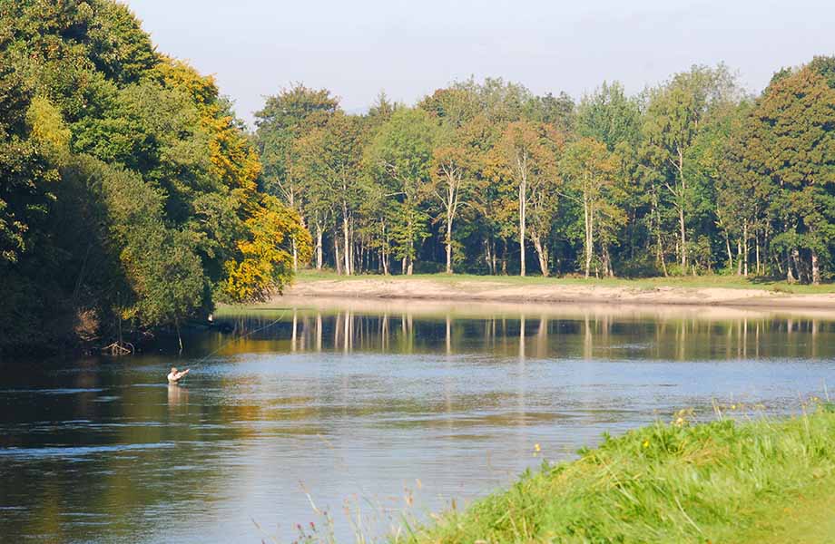 river Tay fishing