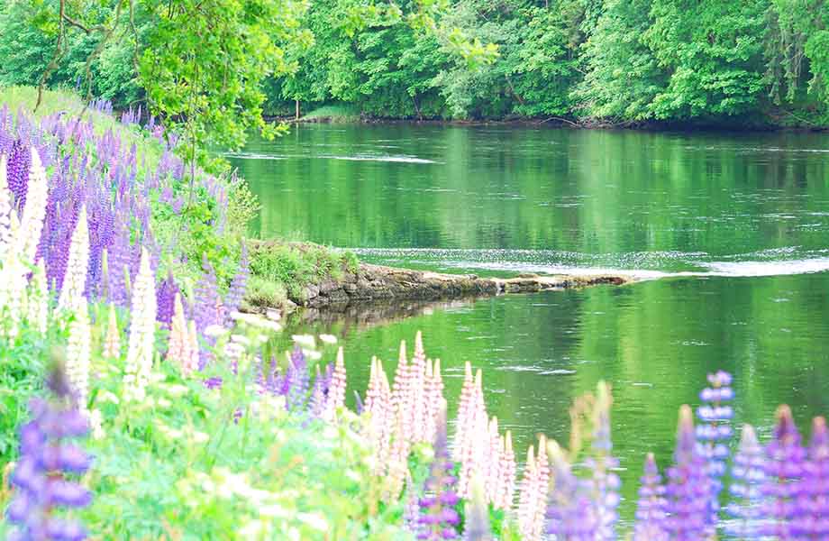 Meikleour Perthshire Country Hotel