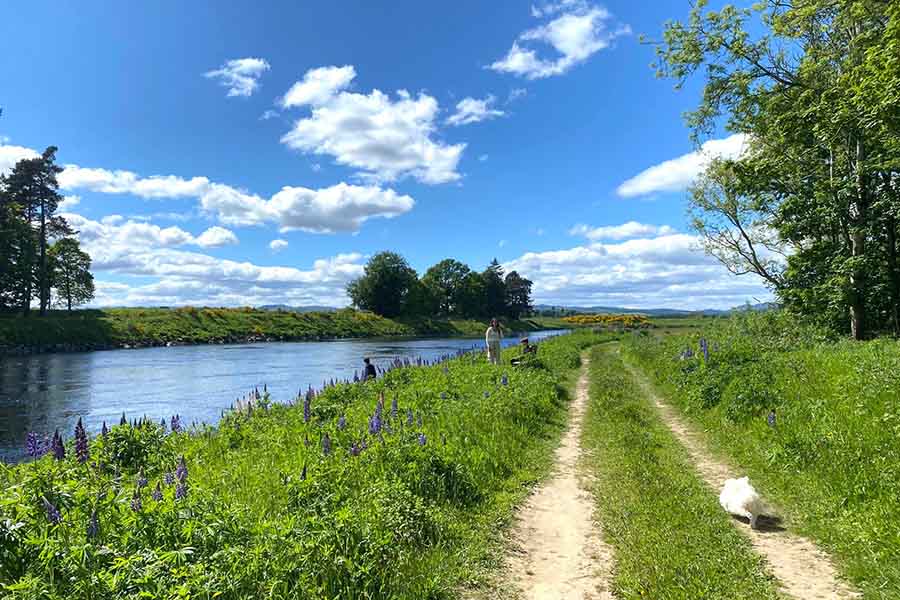 fishing on the river tay