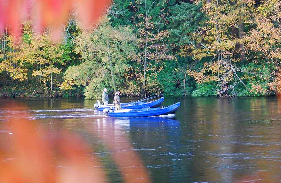 Meikleour Salmon Fishing