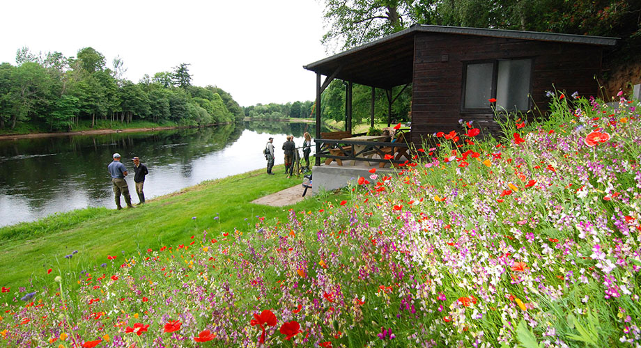 Fishing Hut At Meikleour